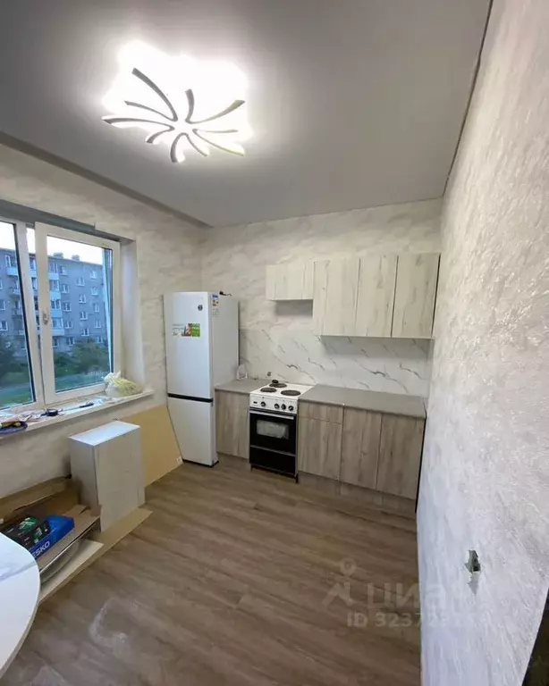 1-к кв. Новосибирская область, Новосибирск ул. Динамовцев, 17 (38.0 м) - Фото 1