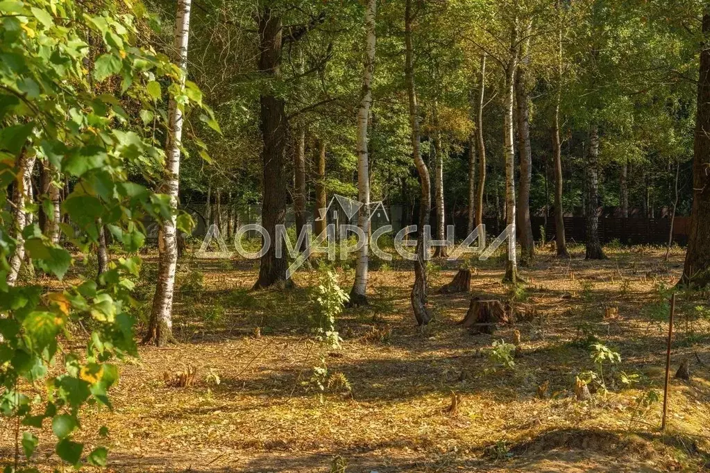 Участок в Московская область, Наро-Фоминский городской округ, ЗАО Нара ... - Фото 2