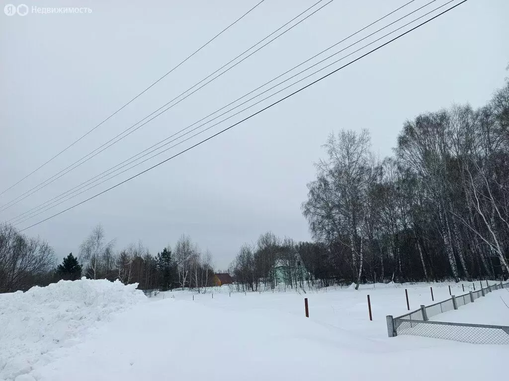 Участок в село Берёзово, улица Цеолитчиков, 27 (15 м) - Фото 2