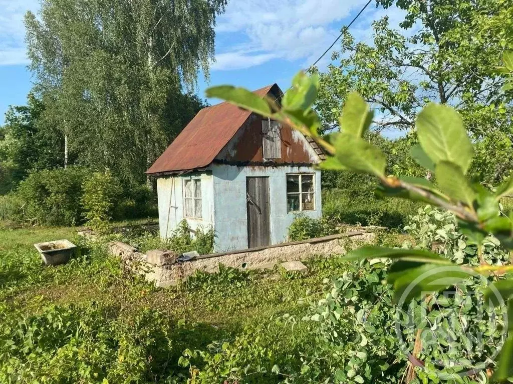 Участок в Ленинградская область, Лужский район, Володарское с/пос, ... - Фото 0