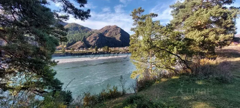 Участок в Алтай, Чемальский район, с. Чемал ул. Прикатунская (30.0 ... - Фото 1