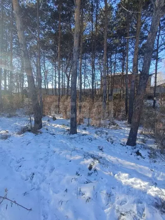 Участок в Амурская область, Благовещенск Центральная ул., 9 (15.0 ... - Фото 2