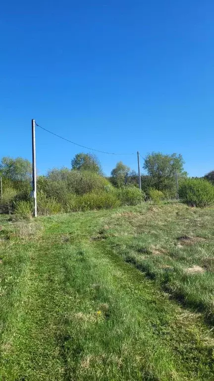 Участок в Брянская область, Клинцовский район, Коржовоголубовское ... - Фото 0