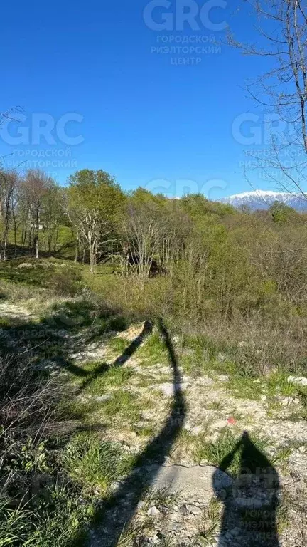 Участок в Краснодарский край, Сочи городской округ, с. Молдовка ул. ... - Фото 1