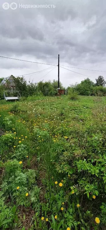 Участок в Омск, территория СОСН Связист-3 (6 м) - Фото 1