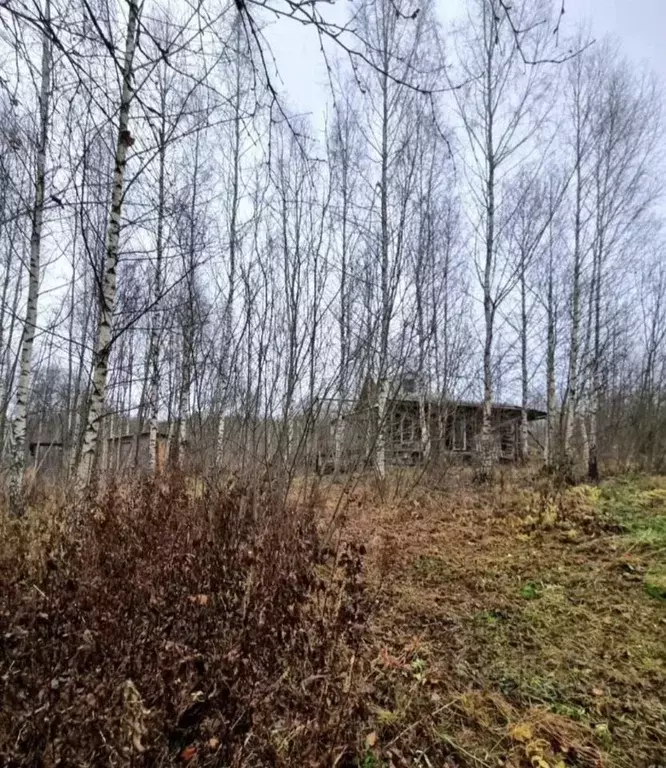 Участок в Московская область, Волоколамский муниципальный округ, д. ... - Фото 0