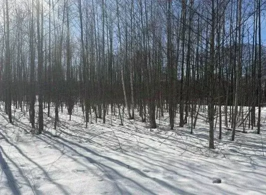 Участок в Московская область, Бронницы  (10.9 сот.) - Фото 1