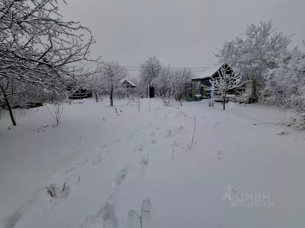 Участок в Саратовская область, Саратов проезд 8-й Верхний Черешневый ... - Фото 1