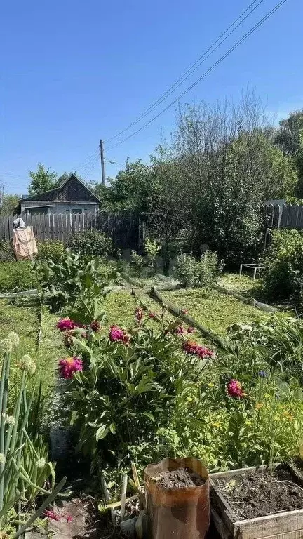 Дом в Курганская область, Курган Энергетик-3 СТ, 51 (20 м) - Фото 1