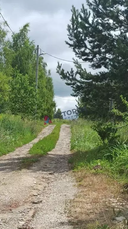 Участок в Тульская область, Тула муниципальное образование, с. Высокое ... - Фото 1