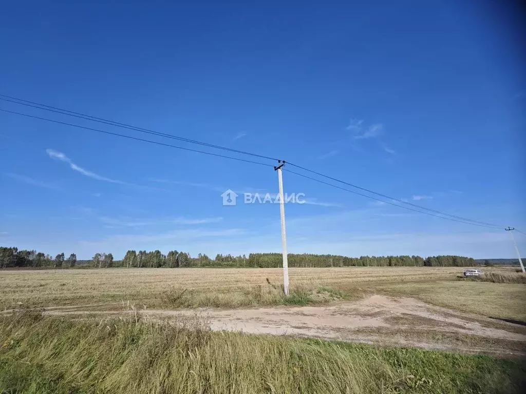 Участок в Владимирская область, Судогодский район, д. Конюшино 17 ... - Фото 1