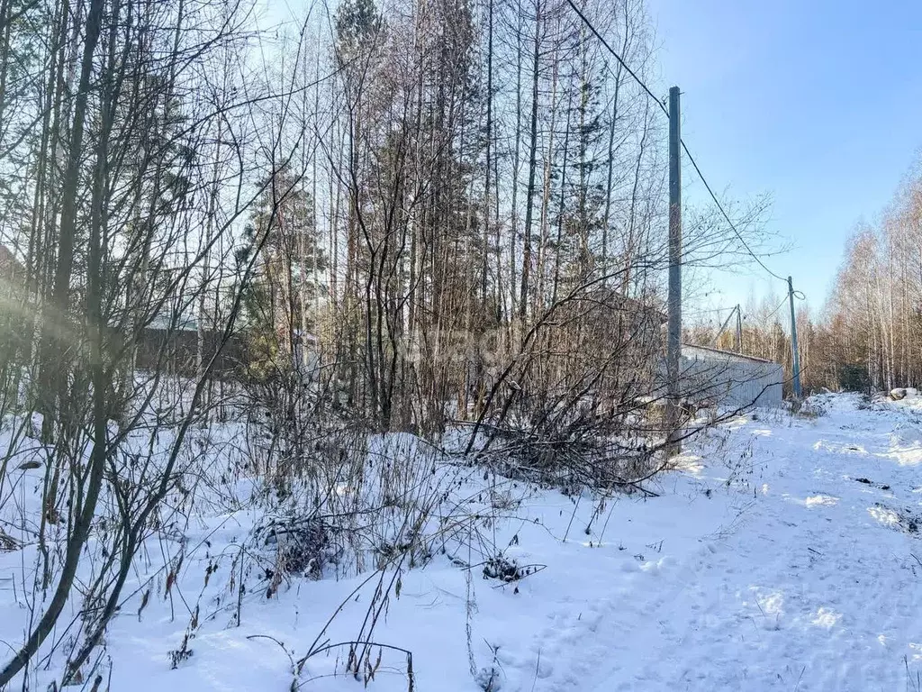 Участок в Свердловская область, Верхняя Пышма городской округ, пос. ... - Фото 1