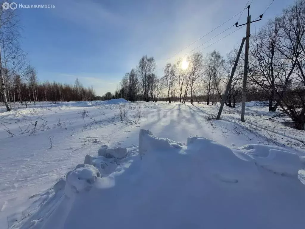 Участок в Новосибирский район, Станционный сельсовет, станция Мочище ... - Фото 0