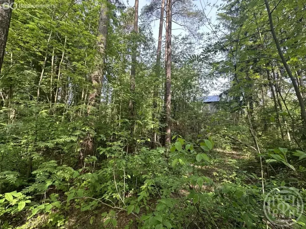 Участок в Всеволожск, улица Гоголя, 57 (20.2 м) - Фото 1