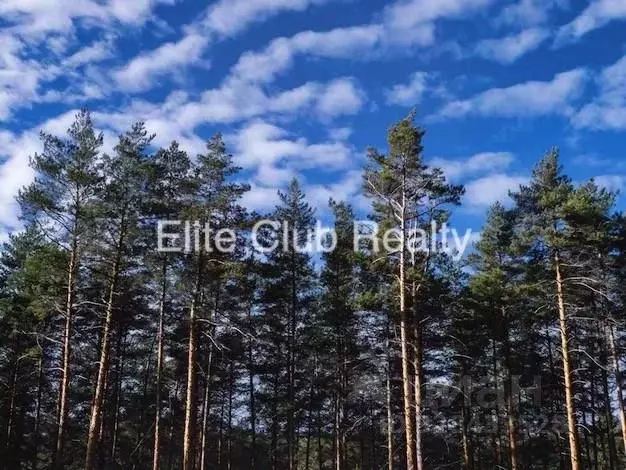 Участок в Ленинградская область, Выборгский район, Первомайское с/пос, ... - Фото 1