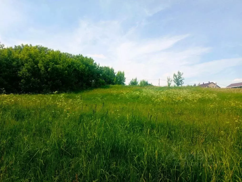 Участок в Московская область, Коломна городской округ, д. Молитвино  ... - Фото 1