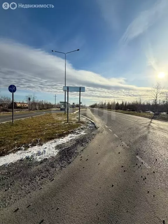 Участок в Новый Уренгой, СНТ Фемида, 2-я Берёзовая улица (5 м) - Фото 1