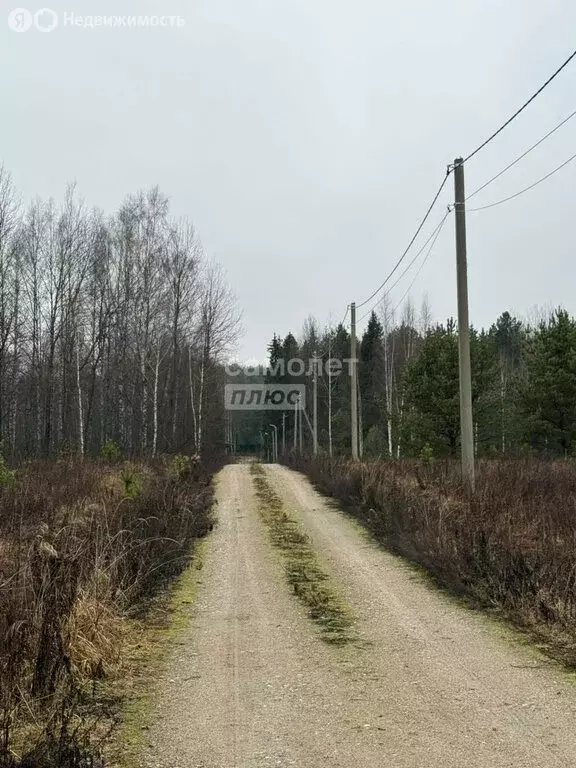 Участок в Ярославская область, Переславль-Залесский муниципальный ... - Фото 1