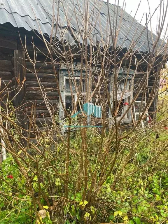 Участок в Калужская область, Дзержинский муниципальный округ, Угорское ... - Фото 2