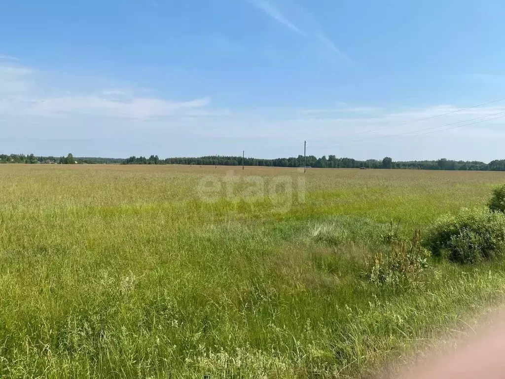 Участок в Ярославская область, Некрасовский муниципальный округ, д. ... - Фото 2