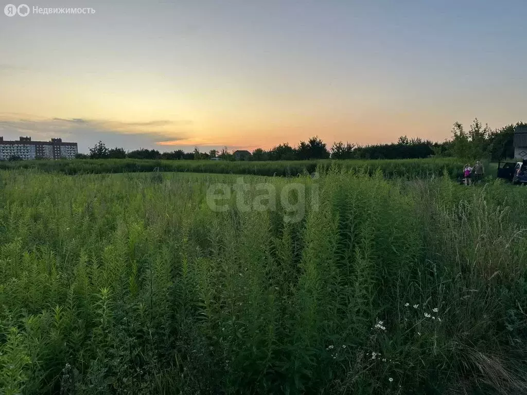 Участок в Путёвка, территория садоводческого общества Снежка (8 м) - Фото 0