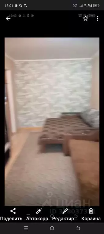 1-к кв. Краснодарский край, Геленджик городской округ, Бетта хут., Дом ... - Фото 2