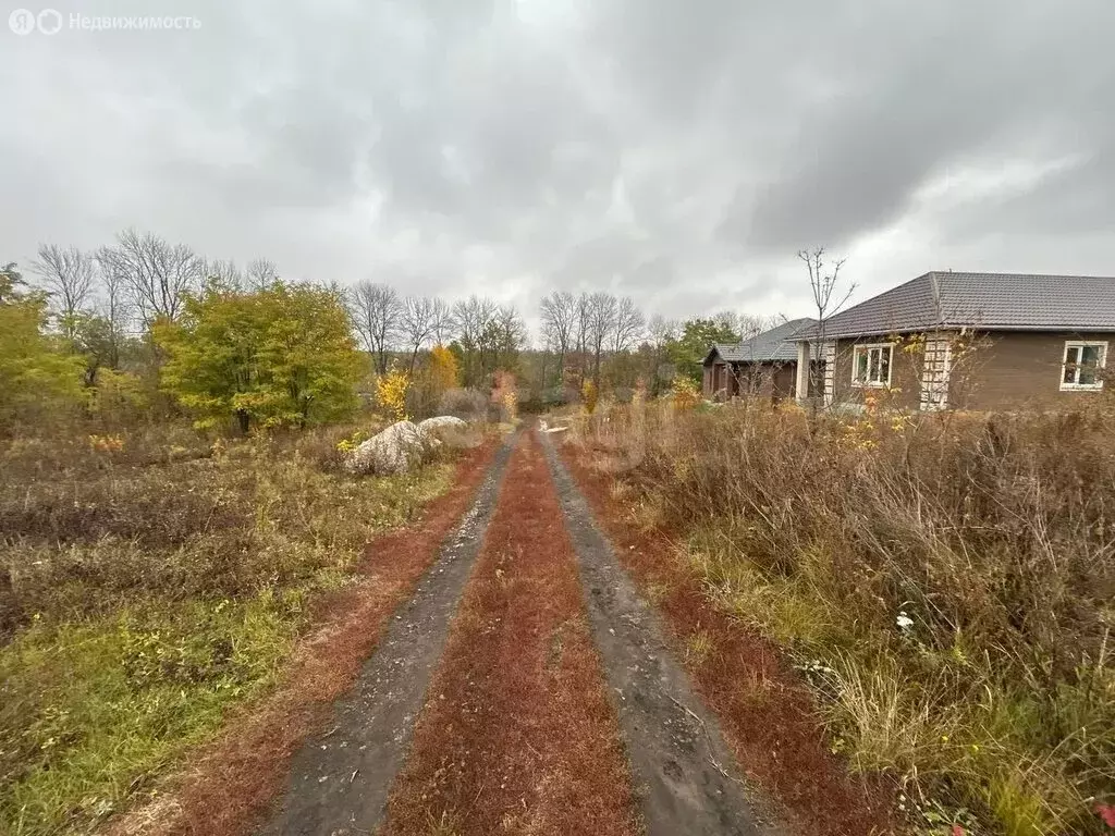 Участок в Белгород, СТ Лимонник (10 м) - Фото 0