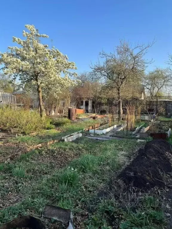 Участок в Челябинская область, Челябинск Искра садовое товарищество, ... - Фото 1