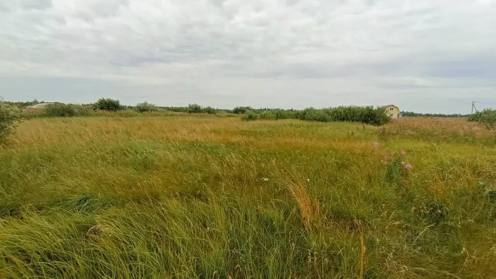 Участок в Челябинская область, Красноармейский муниципальный округ, ... - Фото 1