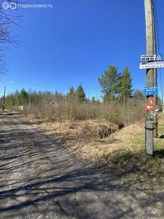 Участок в Архангельская область, Приморский муниципальный округ, СНТ ... - Фото 1