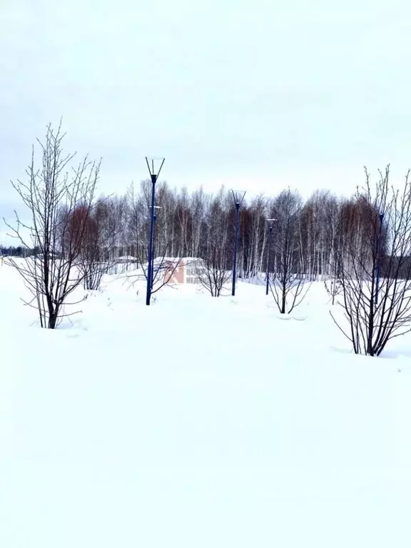 Участок в Тюменская область, Тюменский район, с. Червишево Школьная ... - Фото 1