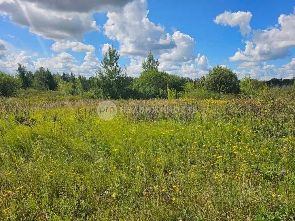 Участок в Рязанская область, Рыбновский район, Ходынинское с/пос, ... - Фото 1