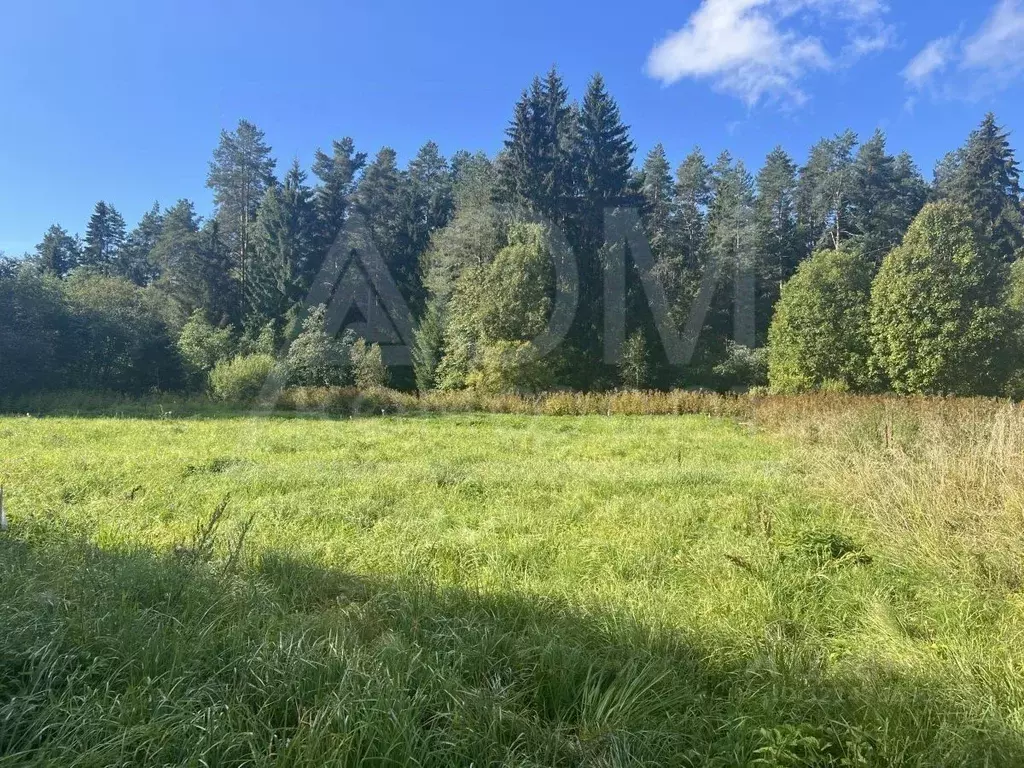Участок в Ленинградская область, Приозерский район, Мельниковское ... - Фото 1