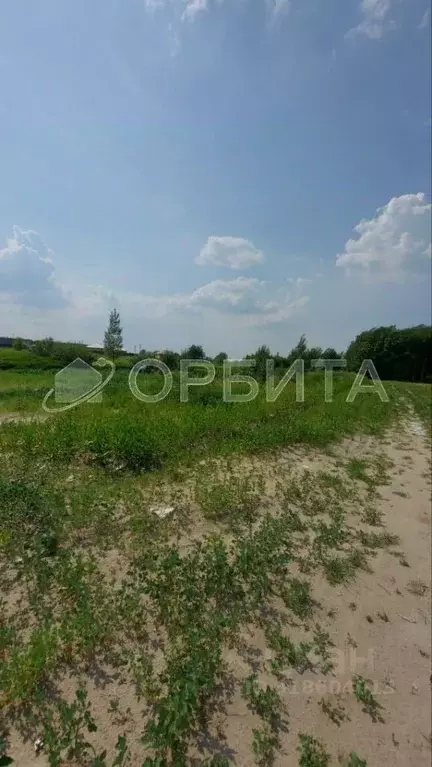 Участок в Тюменская область, Тюменский район, с. Борки  (15.0 сот.) - Фото 0