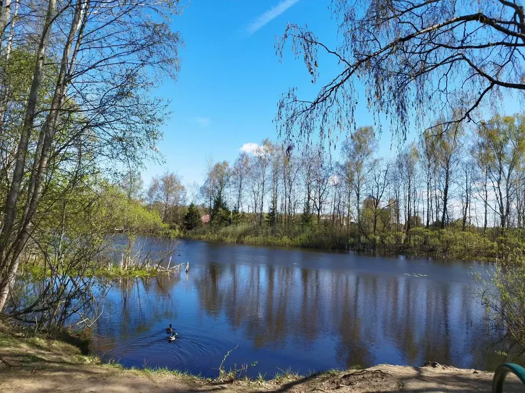 Продается дача в д. Фомкино - Фото 1