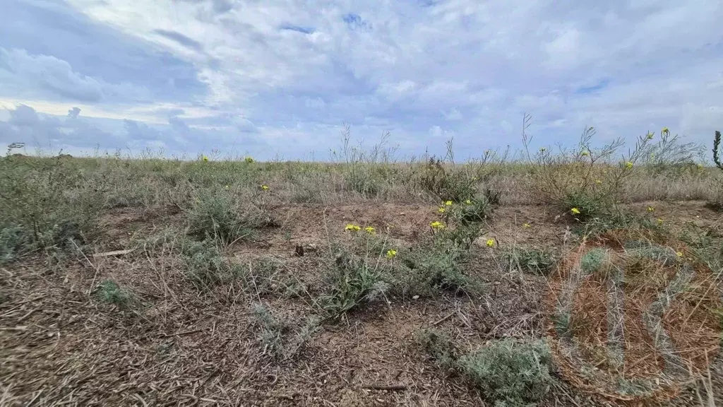 Участок в Крым, Сакский район, с. Молочное ул. Пионерская (6.0 сот.) - Фото 1
