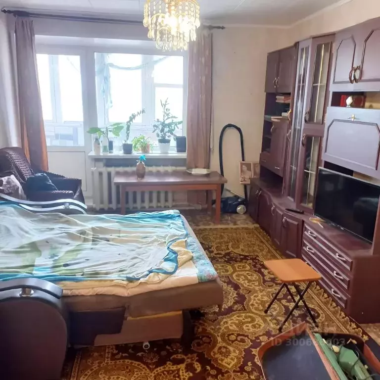 2-к кв. Владимирская область, Александров пер. Красный, 23 (48.0 м) - Фото 1