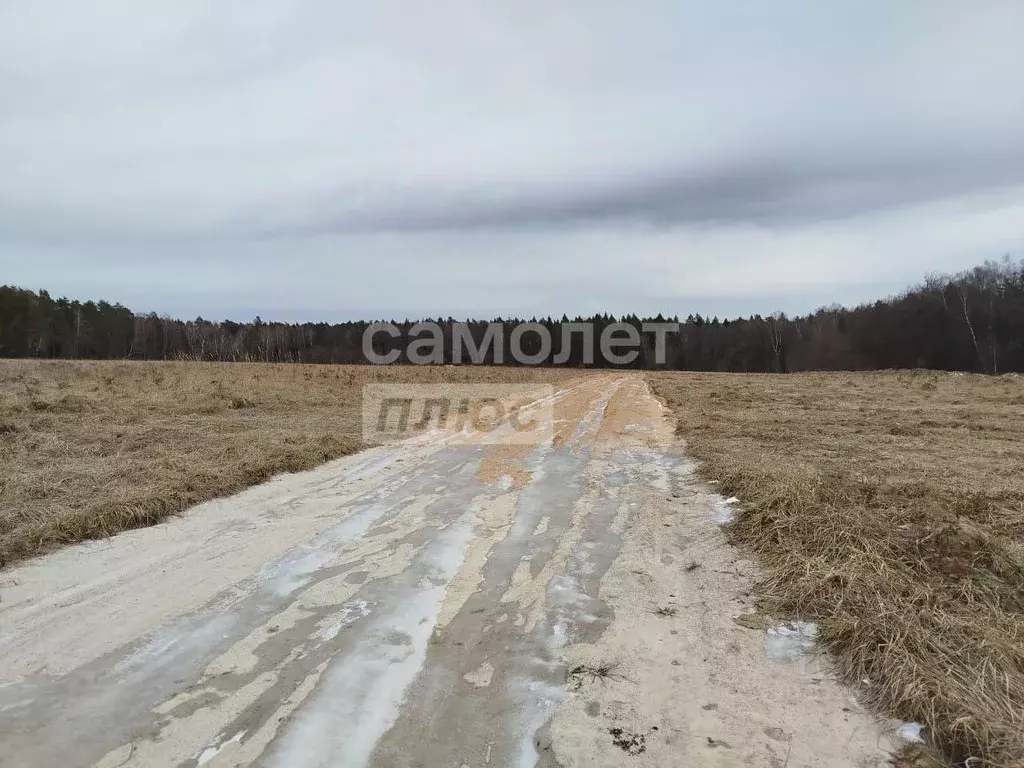 Участок в Московская область, Серпухов городской округ, д. ... - Фото 0