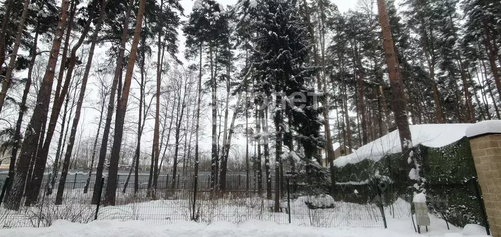 Участок в Московская область, Одинцовский городской округ, д. Бородки ... - Фото 2