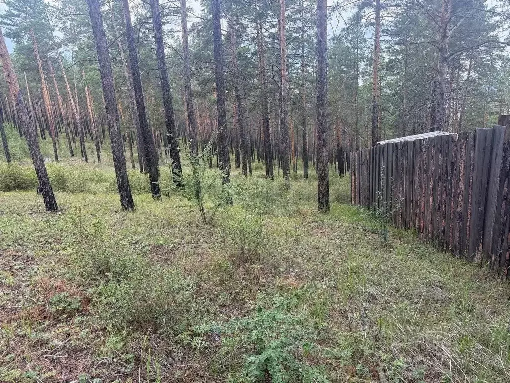 Участок в Бурятия, Улан-Удэ пос. Комушка,  (10.0 сот.) - Фото 1