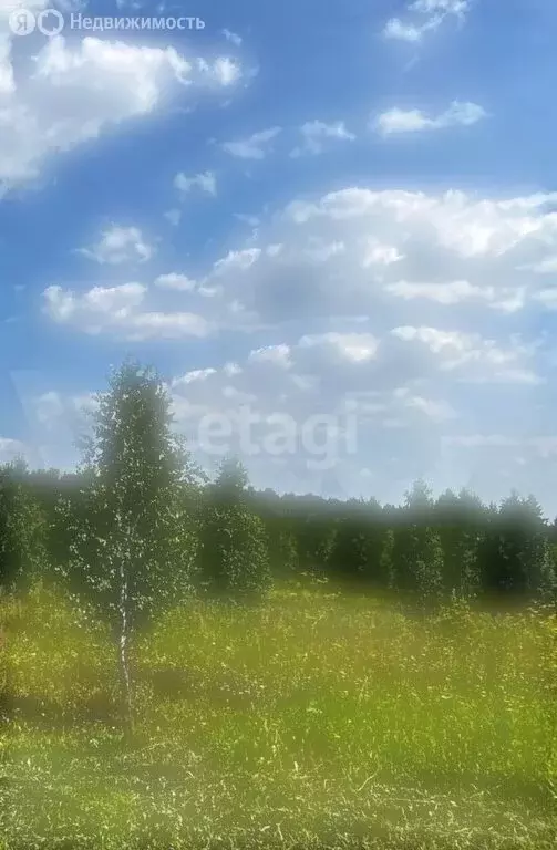 Участок в Станционный сельсовет, садоводческое некоммерческое ... - Фото 1