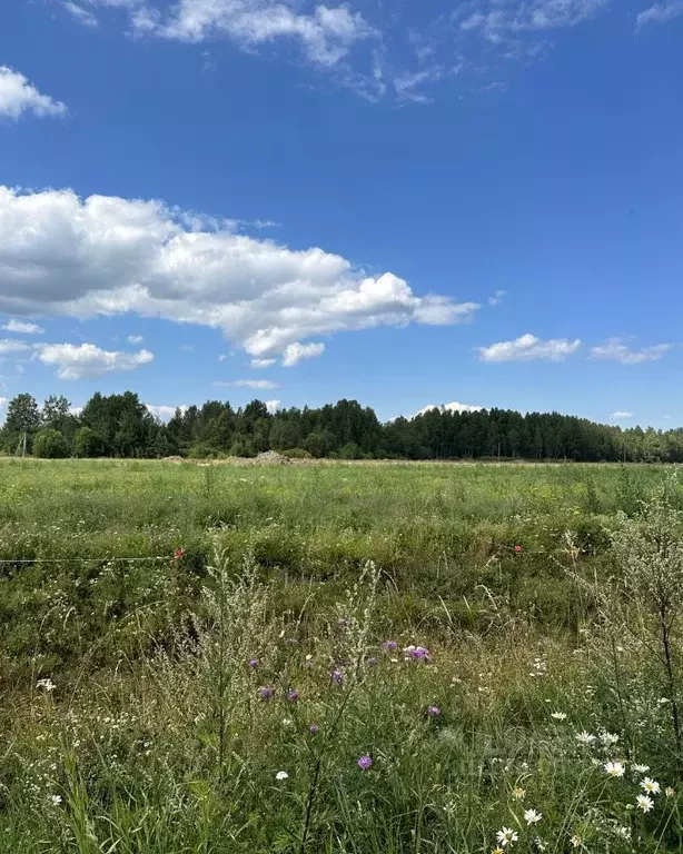Участок в Ленинградская область, Приозерский район, Красноозерное ... - Фото 0