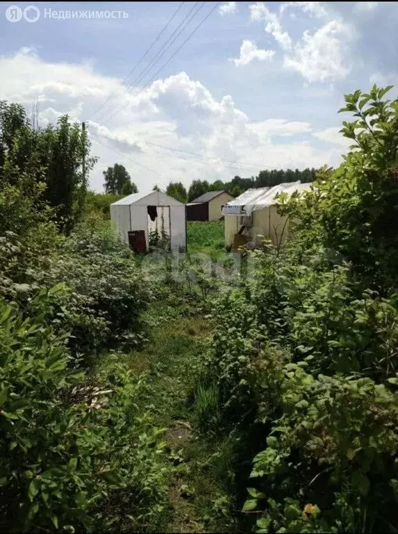 Участок в Миасс, СНТ Смородинка, 2 (8 м) - Фото 1