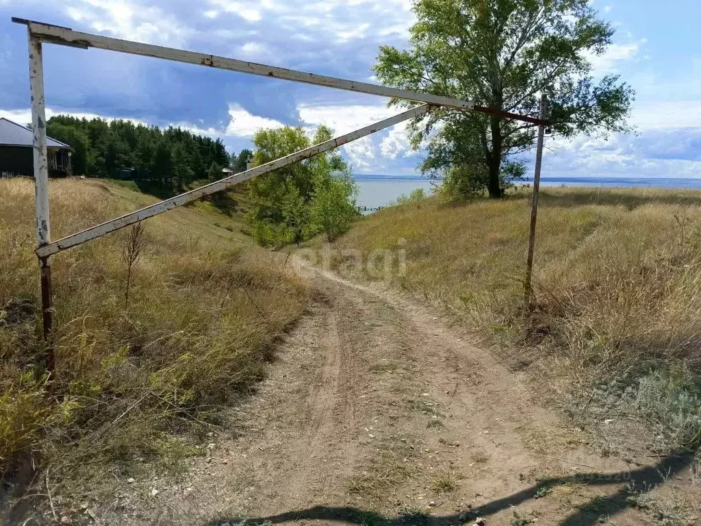 Участок в Ульяновская область, Чердаклинский район, Красноярское ... - Фото 1