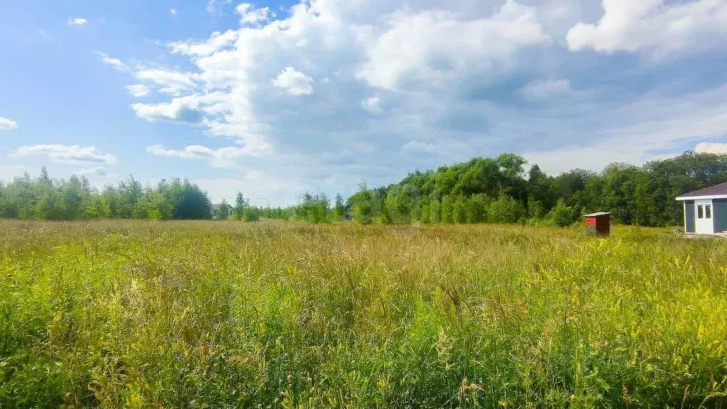 Участок в Ярославская область, Ярославский муниципальный округ, д. ... - Фото 2
