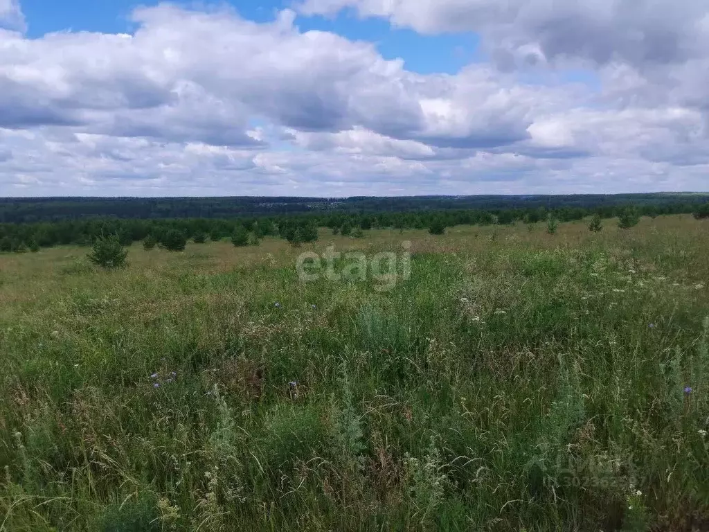 Участок в Удмуртия, Завьяловский район, д. Каменное ул. 3-я Весенняя ... - Фото 0