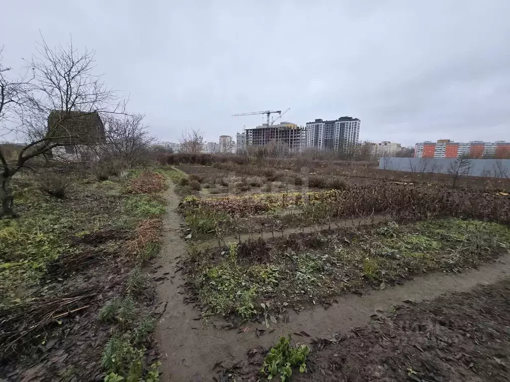 Участок в Брянская область, Брянский район, Снежское с/пос, пос. ... - Фото 2