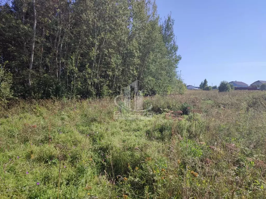 Участок в Калужская область, Ферзиковский район, Грабцево с/пос, с. ... - Фото 2
