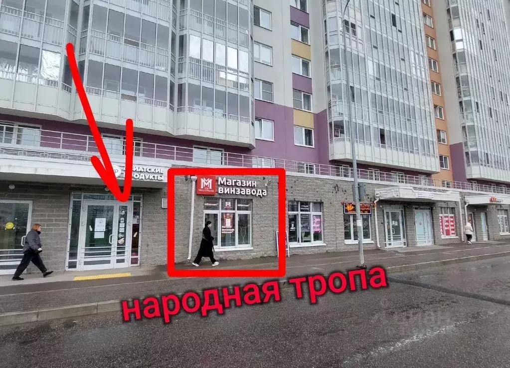 Помещение свободного назначения в Ленинградская область, Мурино ... - Фото 1