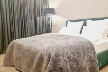 1-к кв. Калининградская область, Калининград ул. Генерала Галицкого, ... - Фото 1